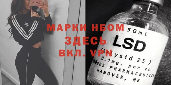 шишки Алексин
