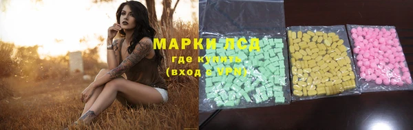 шишки Алексин