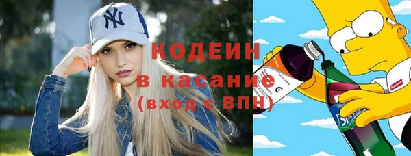 шишки Алексин